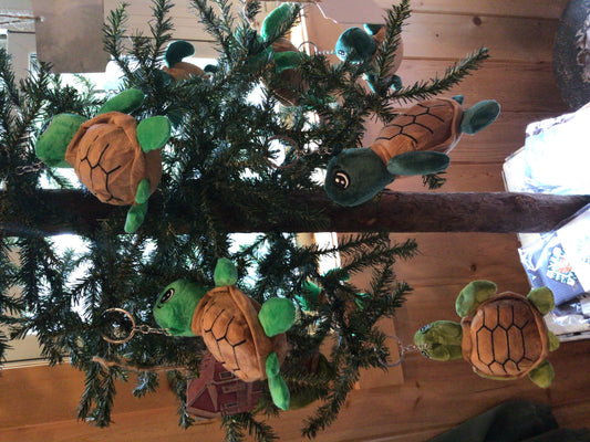 Key Turtle Lake Chain